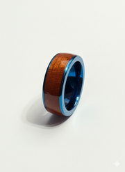 TABISH-SHINING PRESENCE